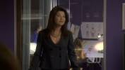 Photos - Les fr�res Scott