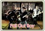 Les photos de Fall Out Boy - Les fr�res Scott
