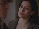 Photos - Les fr�res Scott